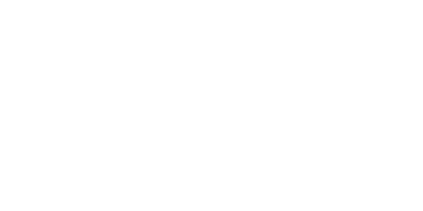 Nintendo Wii
